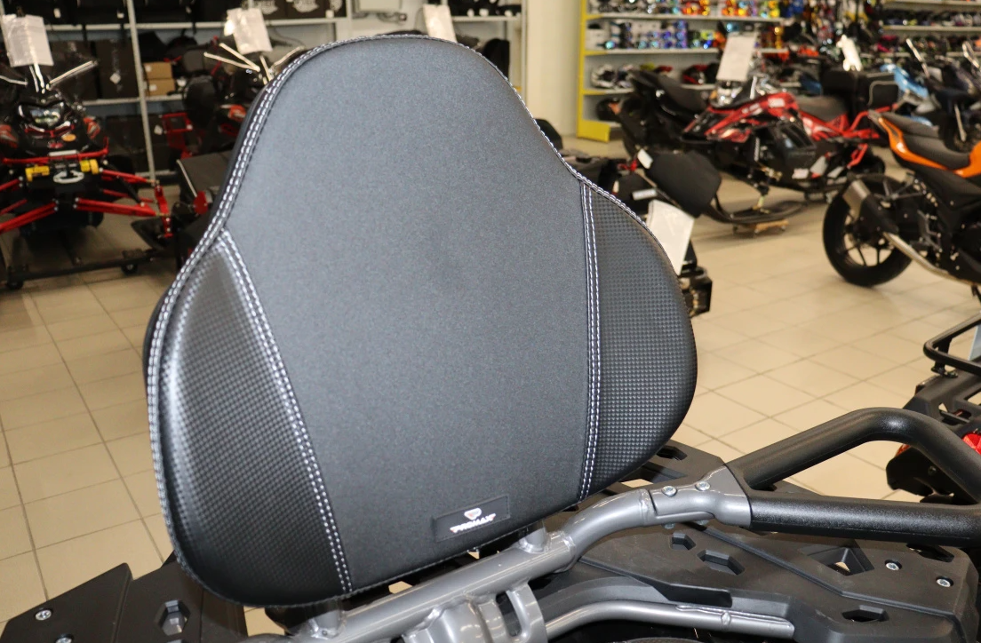 Квадроцикл PROMAX RENEGADE 300 LONG WINCH PRO (2025) в Подольске