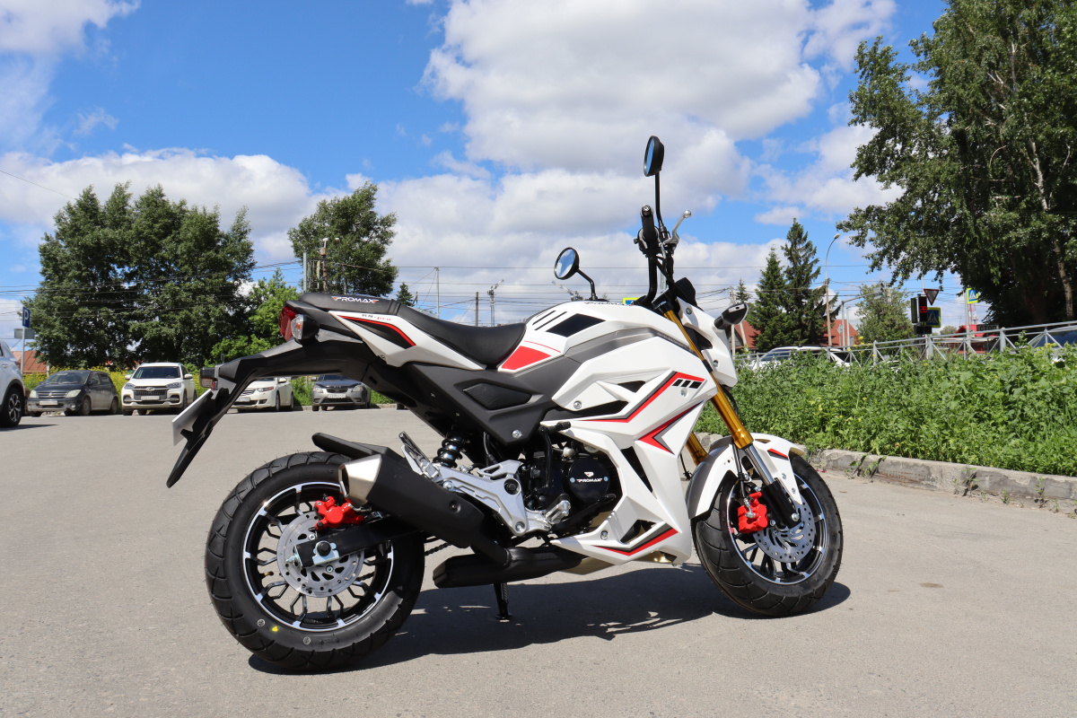 Мотоцикл PROMAX STRYKER 200(49) 2.0 в Подольске