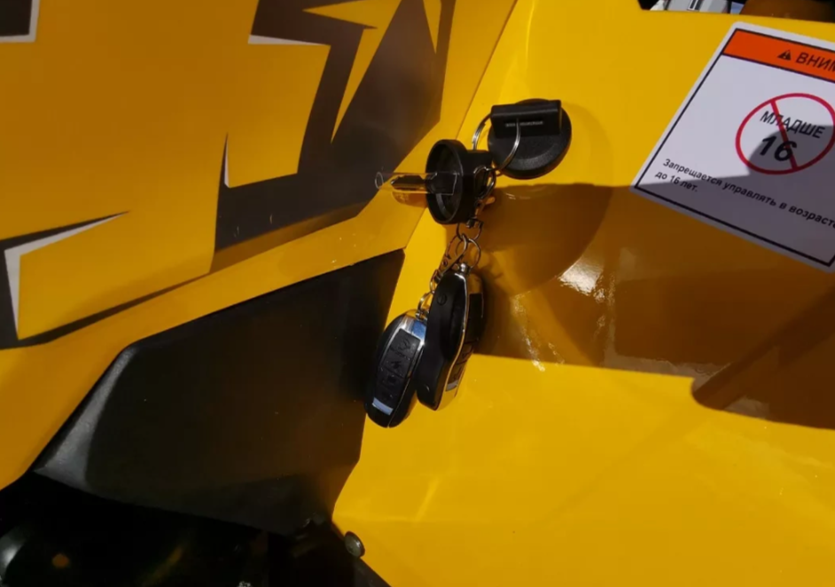 Квадроцикл MOTOLAND (МОТОЛЕНД) VOX200 WILD TRACK X PRO (баланс. вал) в Подольске