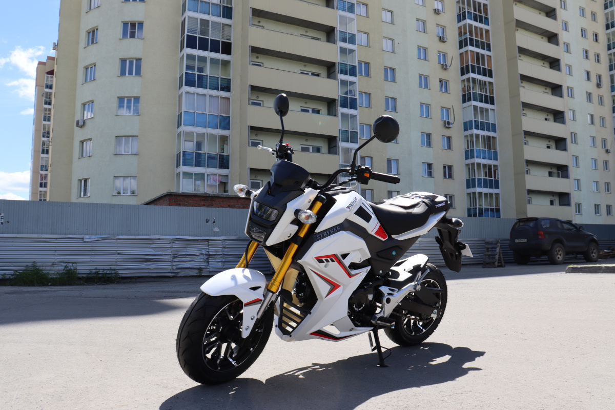 Мотоцикл PROMAX STRYKER 200(49) 2.0 в Подольске