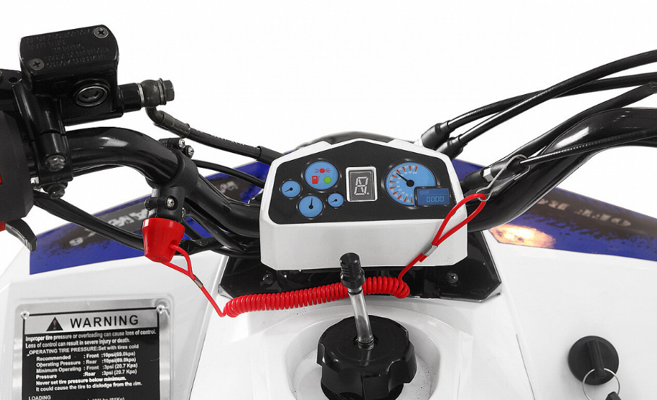 Квадроцикл Yacota Raposa 110 в Подольске