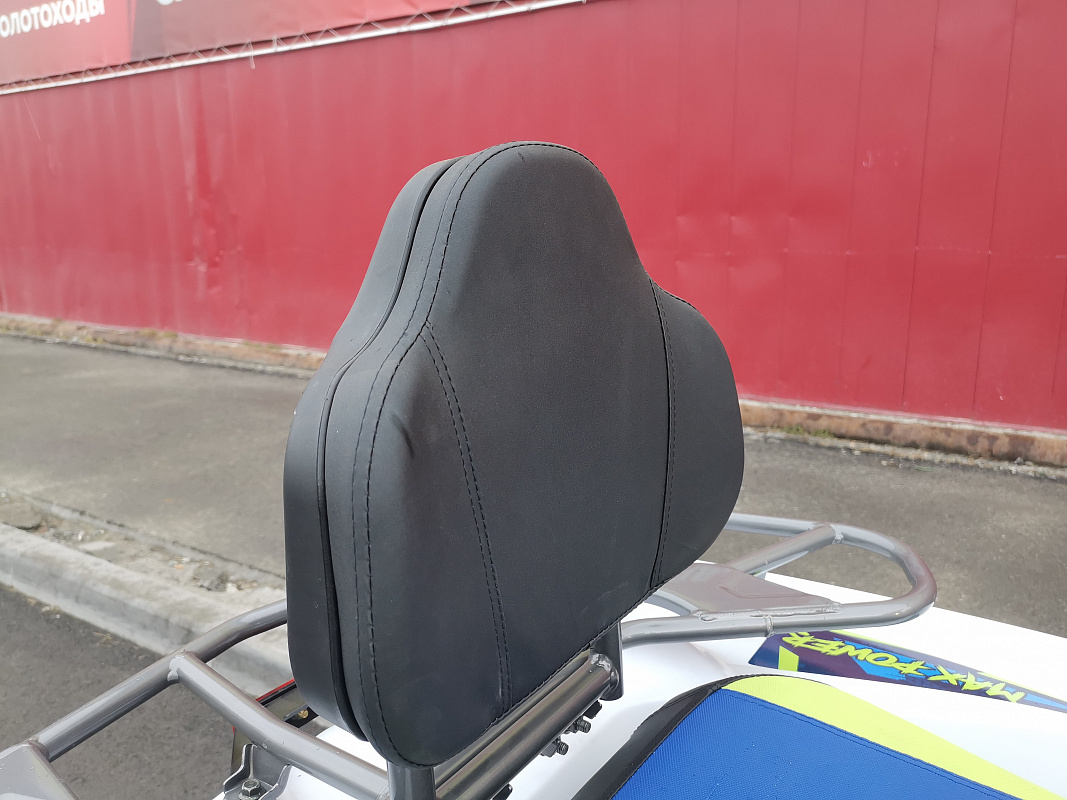 Квадроцикл PROMAX RENEGADE 280 LUX (2025) в Подольске