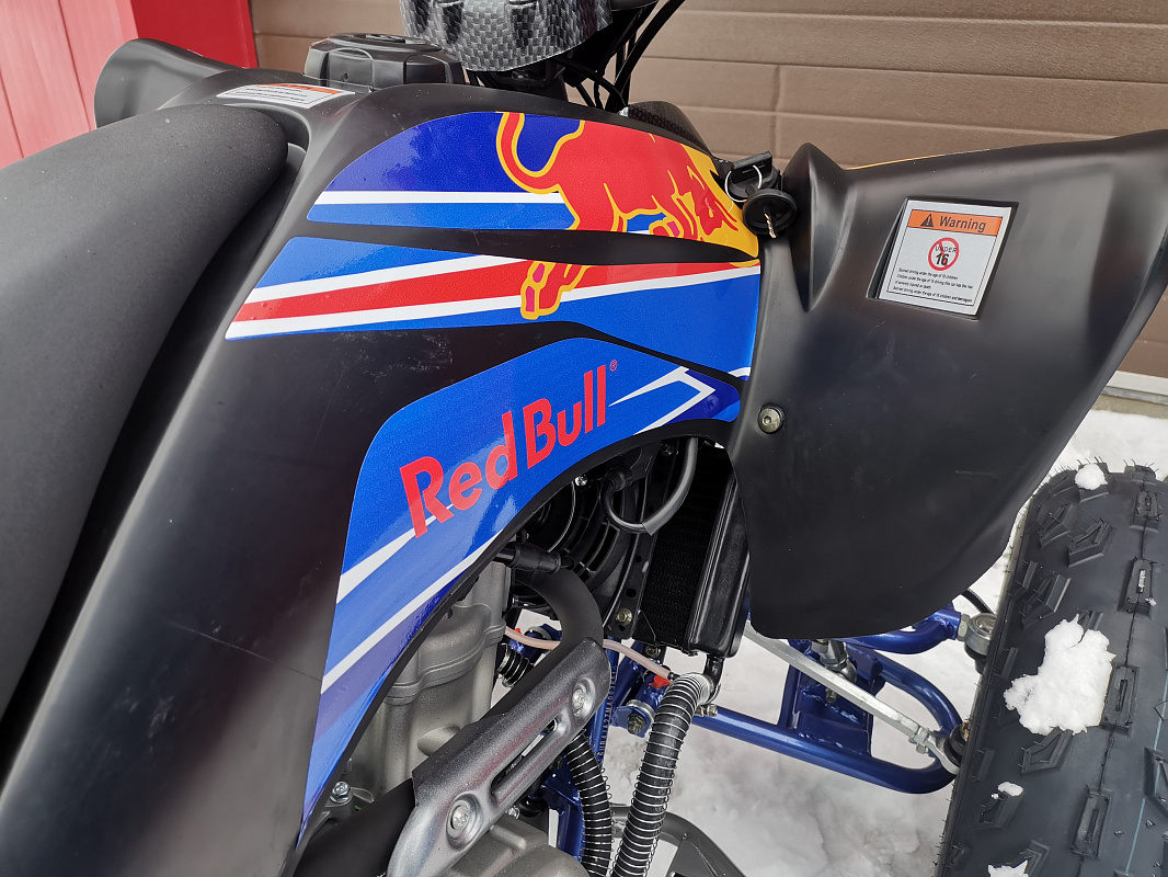 Квадроцикл PROMAX RAPTOR 300 NEW RedBull в Подольске