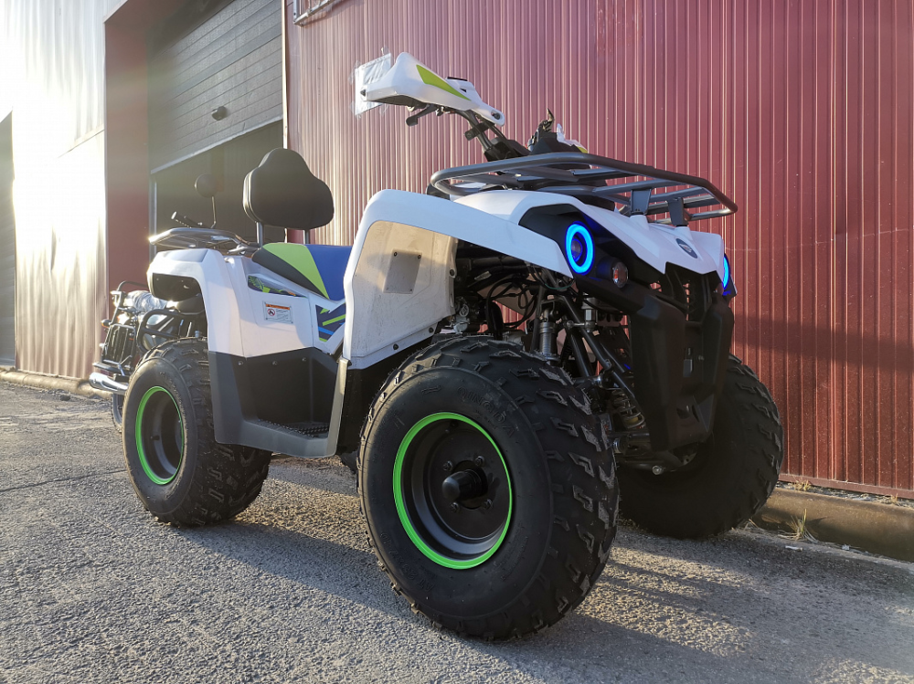 Квадроцикл PROMAX RENEGADE 280 LUX (2025) в Подольске