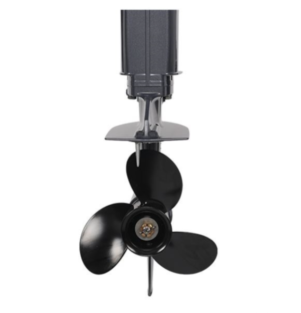 Лодочный мотор ALLFA CG Т40FW S в Подольске