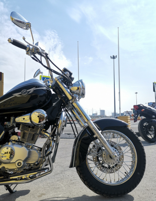 Мотоцикл MOTOLAND (МОТОЛЕНД) WOLF 250 в Подольске