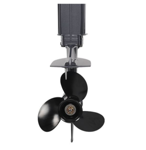 Лодочный мотор ALLFA CG Т40FWT S в Подольске