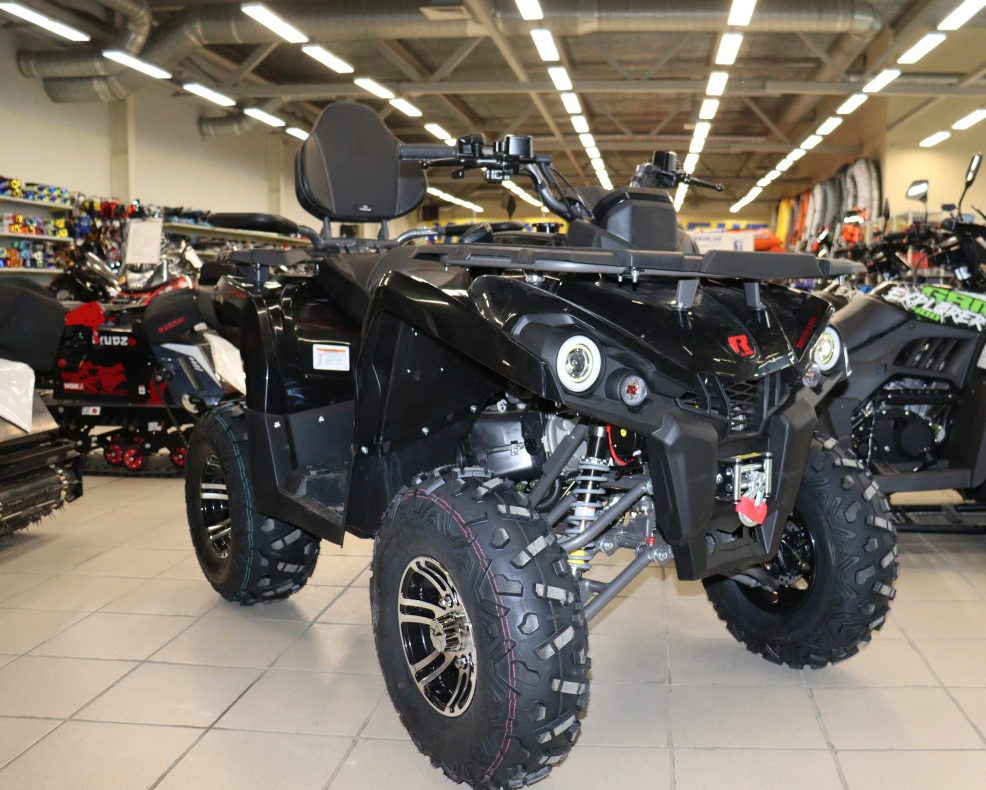 Квадроцикл PROMAX RENEGADE 300 LONG WINCH PRO (2025) в Подольске