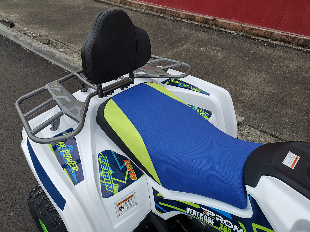 Квадроцикл PROMAX RENEGADE 280 LUX (2025) в Подольске