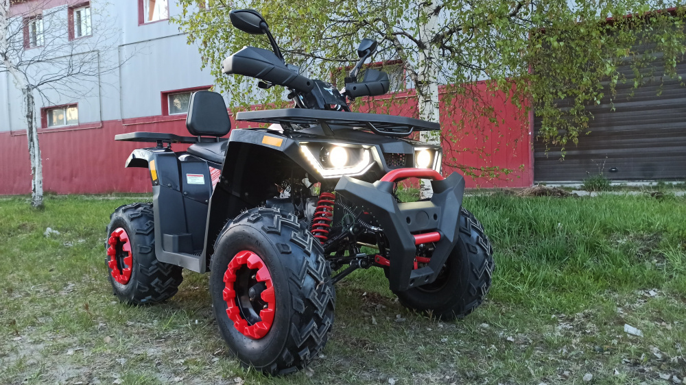 Квадроцикл PROMAX WILD 300 LUX (2024) в Подольске