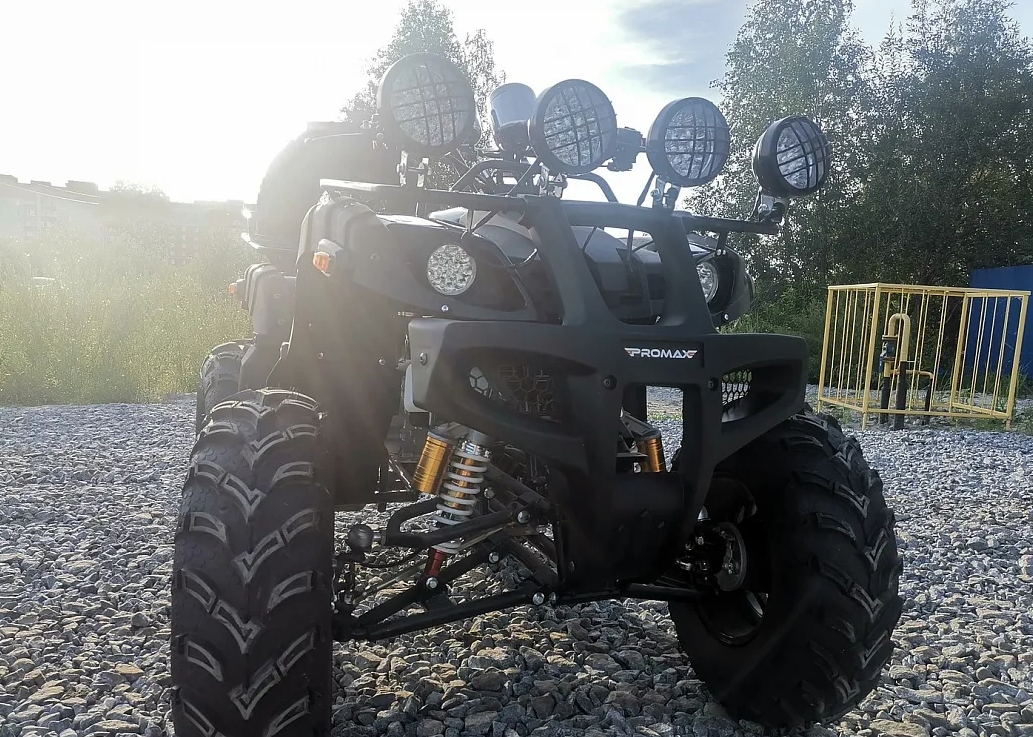 Квадроцикл PROMAX LEO 300 Max (кардан) в Подольске