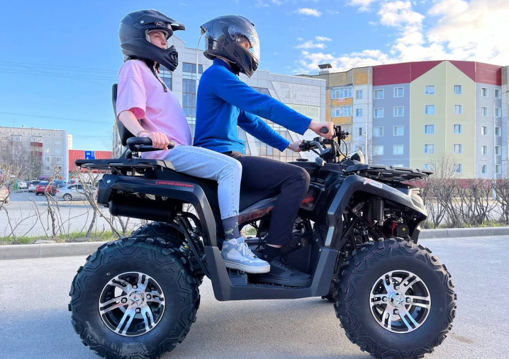 Квадроцикл PROMAX RENEGADE 300 LONG WINCH PRO (2025) в Подольске