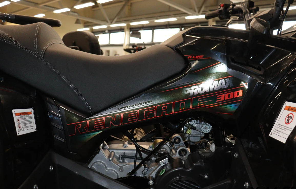 Квадроцикл PROMAX RENEGADE 300 LONG WINCH PRO (2025) в Подольске