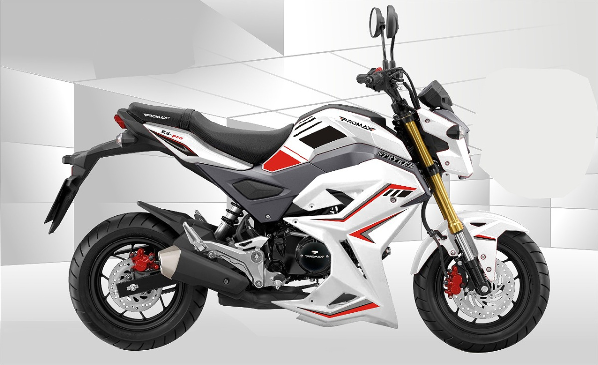 Мотоцикл PROMAX STRYKER 200(49) 2.0 в Подольске