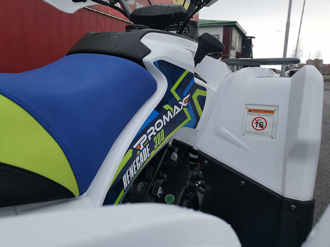 Квадроцикл PROMAX RENEGADE 280 LUX (2025) в Подольске