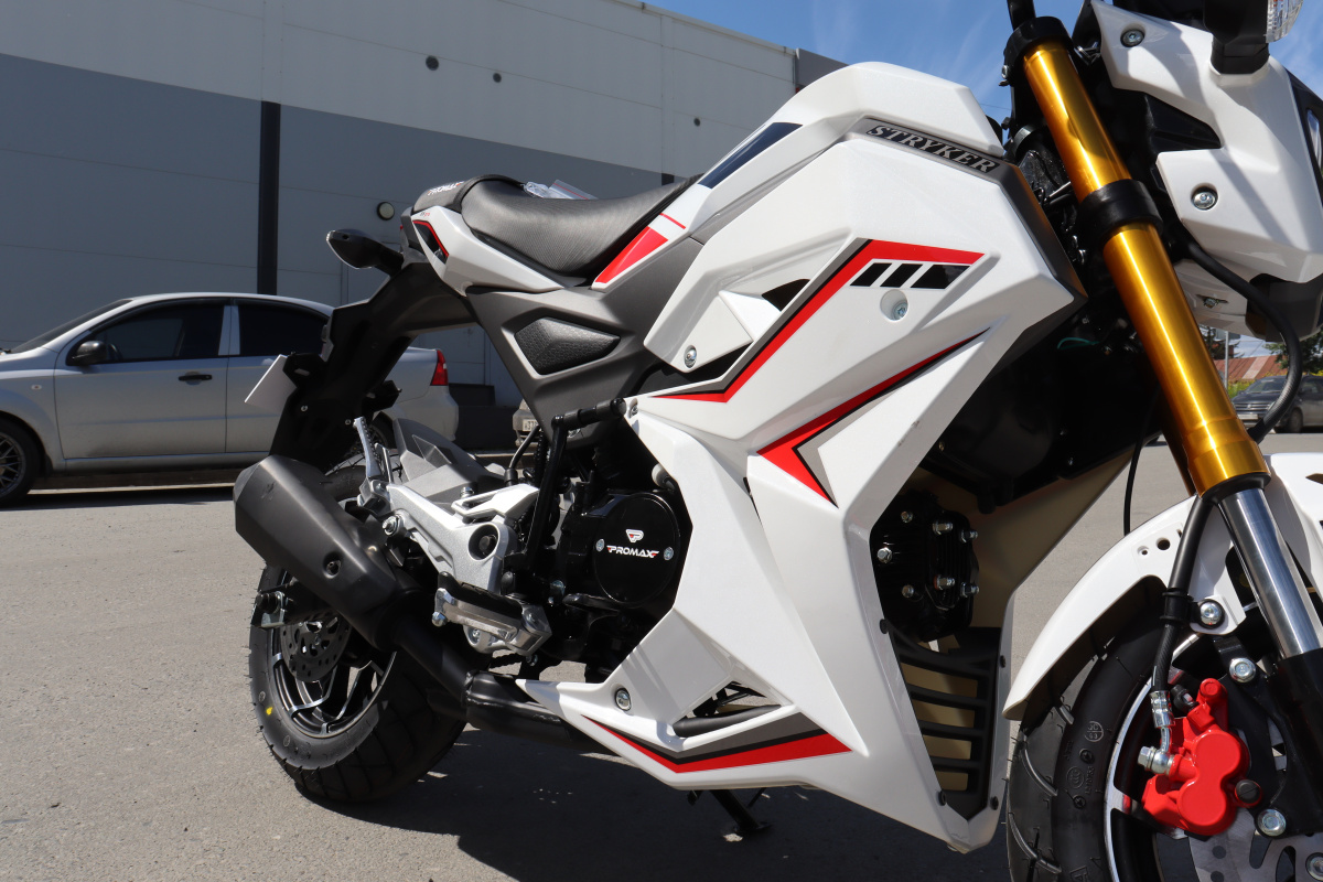 Мотоцикл PROMAX STRYKER 200(49) 2.0 в Подольске