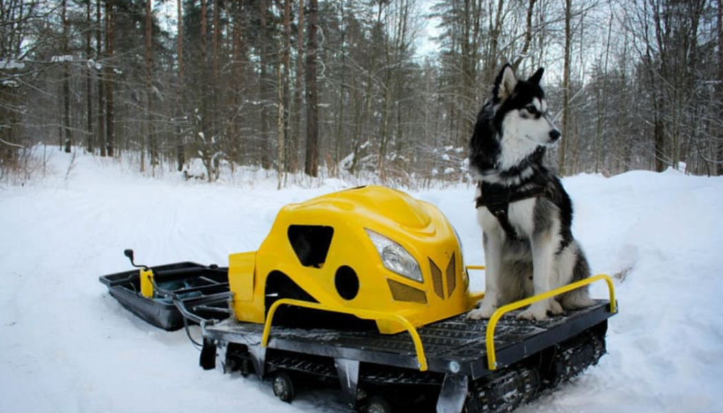 Мотобуксировщик LEBEDEV MOTORS ВОЛКОДАВ POWER V13 в Подольске