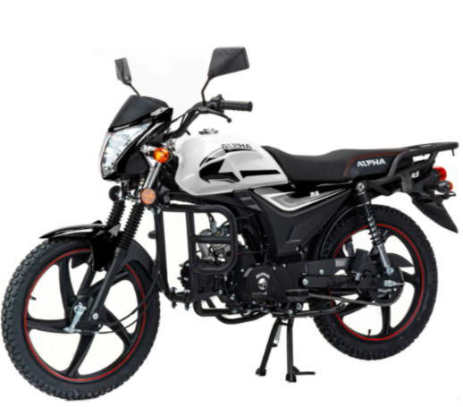 Мопед MOTOLAND (МОТОЛЕНД) Альфа RS 11 (LM48-B) в Подольске