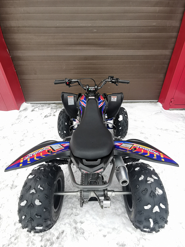 Квадроцикл PROMAX RAPTOR 300 NEW RedBull в Подольске