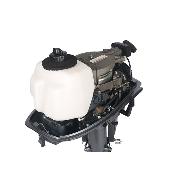 ЛОДОЧНЫЙ МОТОР ALLFA CG T5 в Подольске