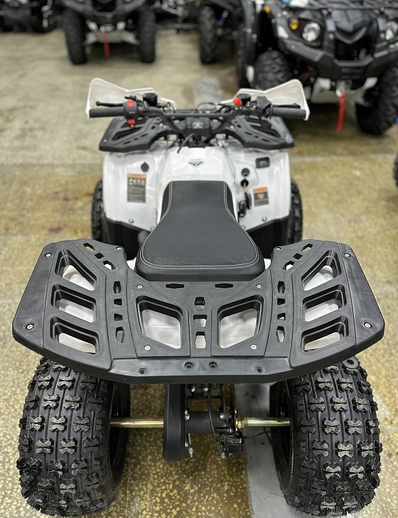 Квадроцикл PROMAX WILD 2.0 190 в Подольске