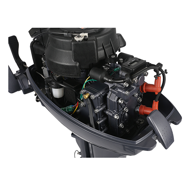 ЛОДОЧНЫЙ МОТОР ALLFA CG Т9,9 в Подольске