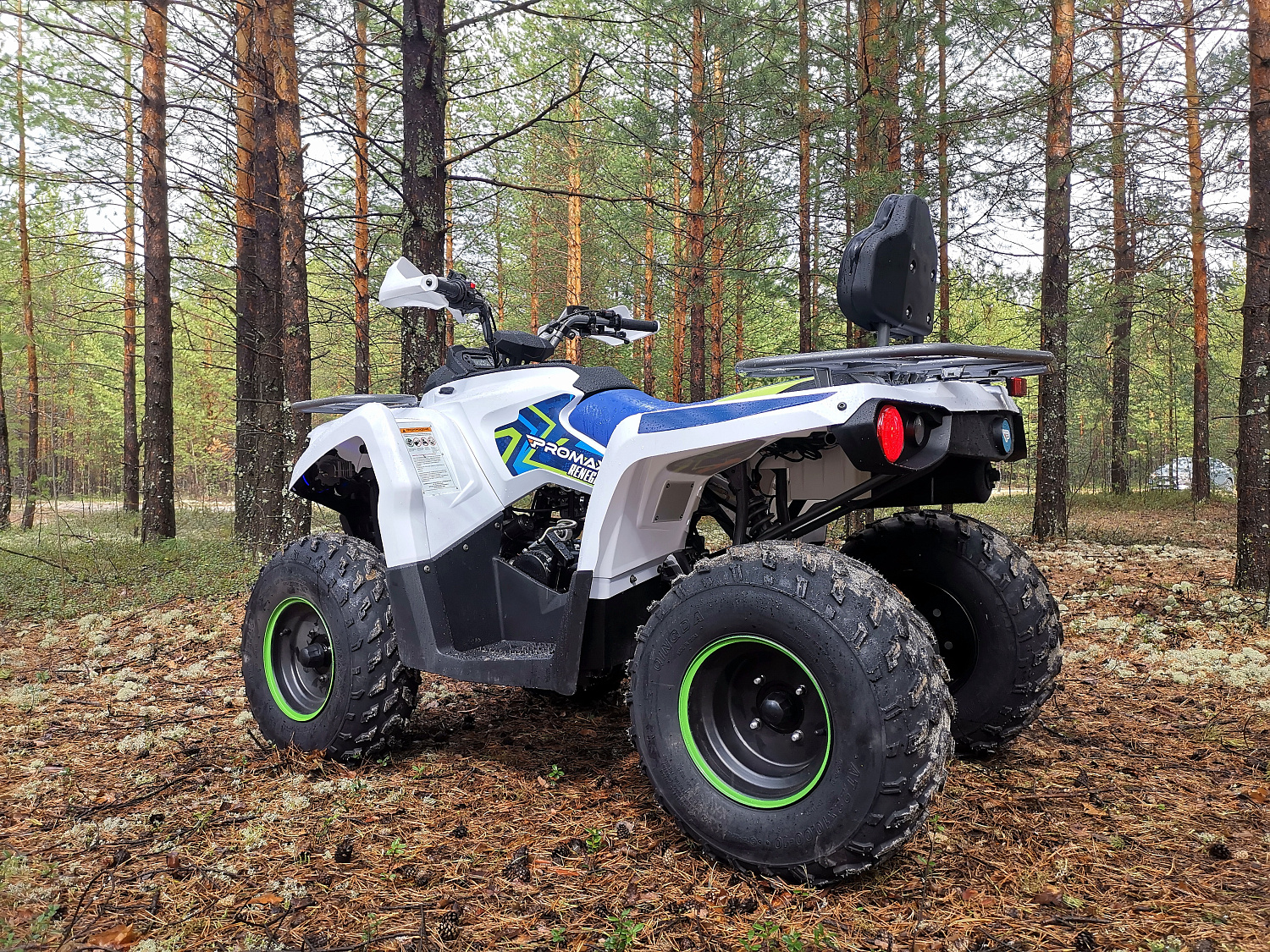 Квадроцикл PROMAX RENEGADE 280 (2025) в Подольске