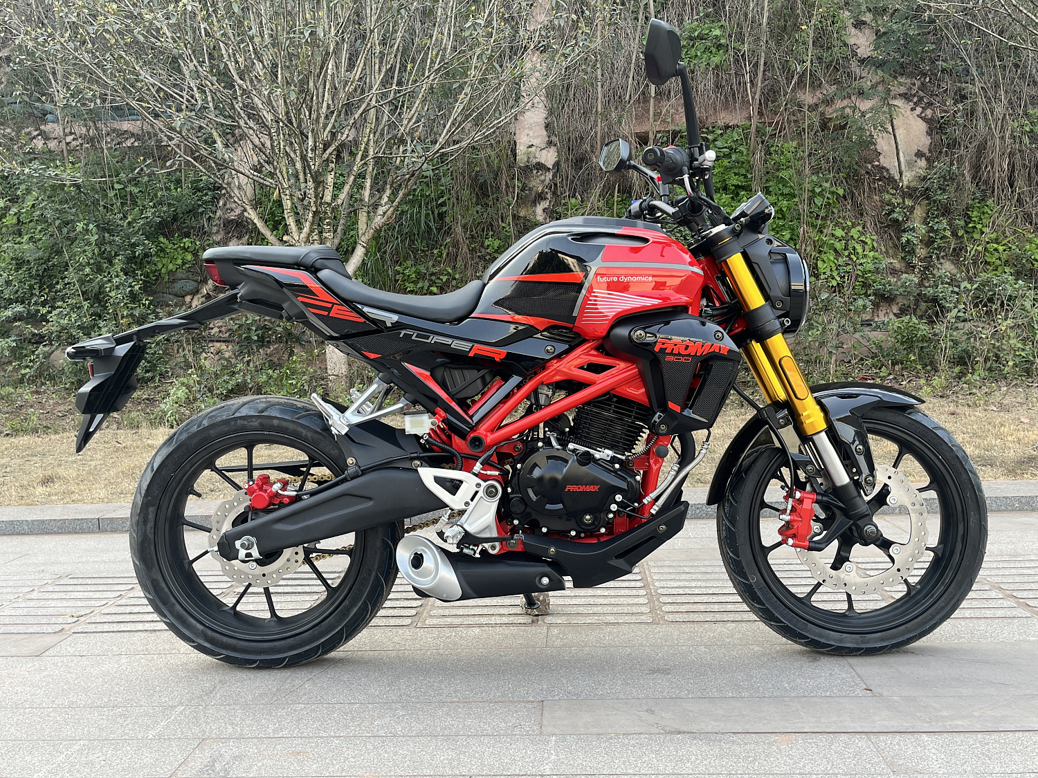 Мотоцикл PROMAX CB300 в Подольске