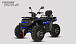 Квадроцикл PROMAX TAURUS 300 MAX-PRO LONG в Подольске