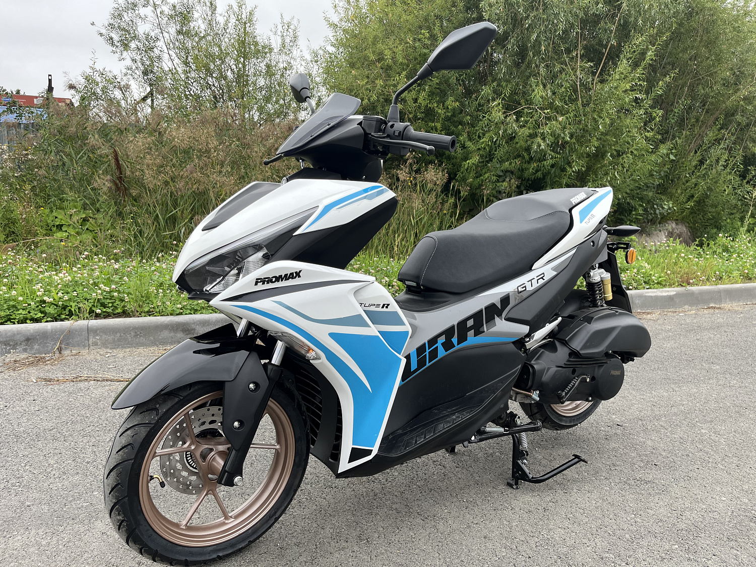 Скутер PROMAX TURAN 250 (49) в Подольске