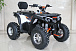 Квадроцикл GBM STORMRIDER 320 PREMIUM в Подольске