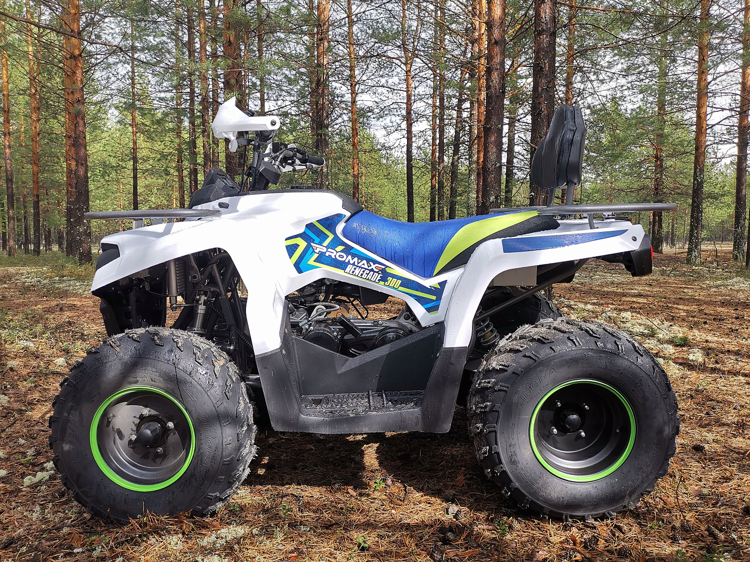 Квадроцикл PROMAX RENEGADE 280 (2025) в Подольске
