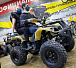 Квадроцикл PROMAX ATV 250 (2025) в Подольске