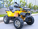 Квадроцикл MOTOLAND (МОТОЛЕНД) VOX200 WILD TRACK X PRO (баланс. вал) в Подольске