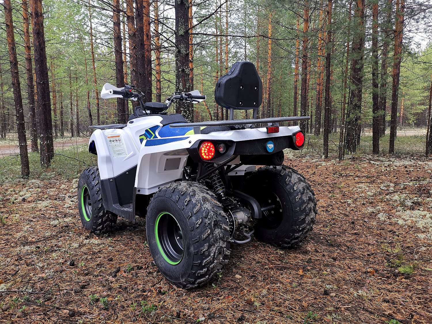Квадроцикл PROMAX RENEGADE 280 (2025) в Подольске