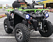 Квадроцикл PROMAX RENEGADE 280 WINCH PRO (2025) в Подольске