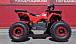 Квадроцикл PROMAX WILD 175 BASIC в Подольске
