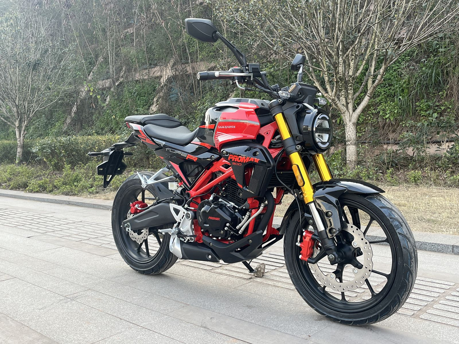 Мотоцикл PROMAX CB300RL (4V, 6G) в Подольске