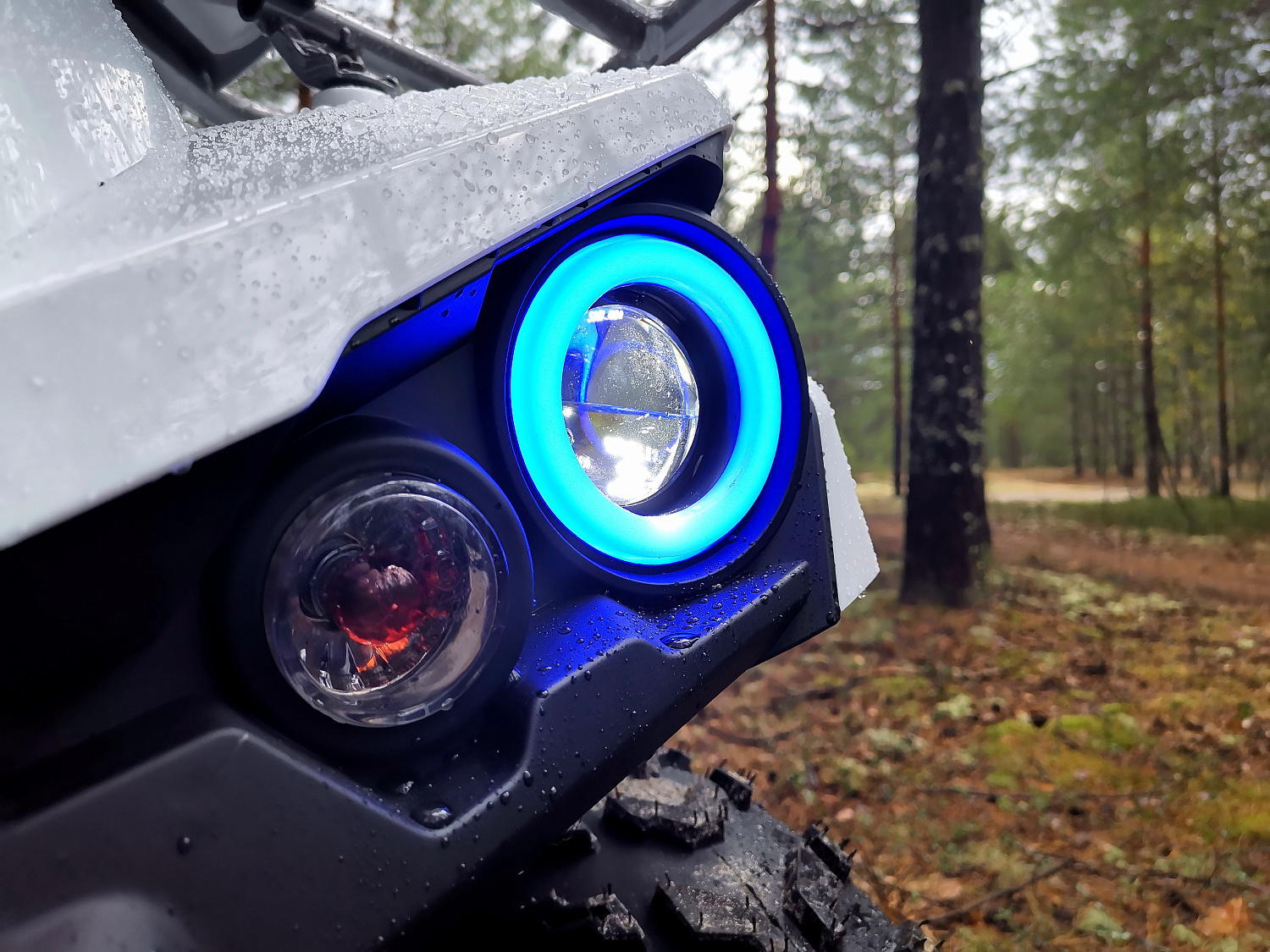 Квадроцикл PROMAX RENEGADE 280 (2025) в Подольске