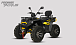 Квадроцикл PROMAX TAURUS 300 MAX-PRO LONG в Подольске